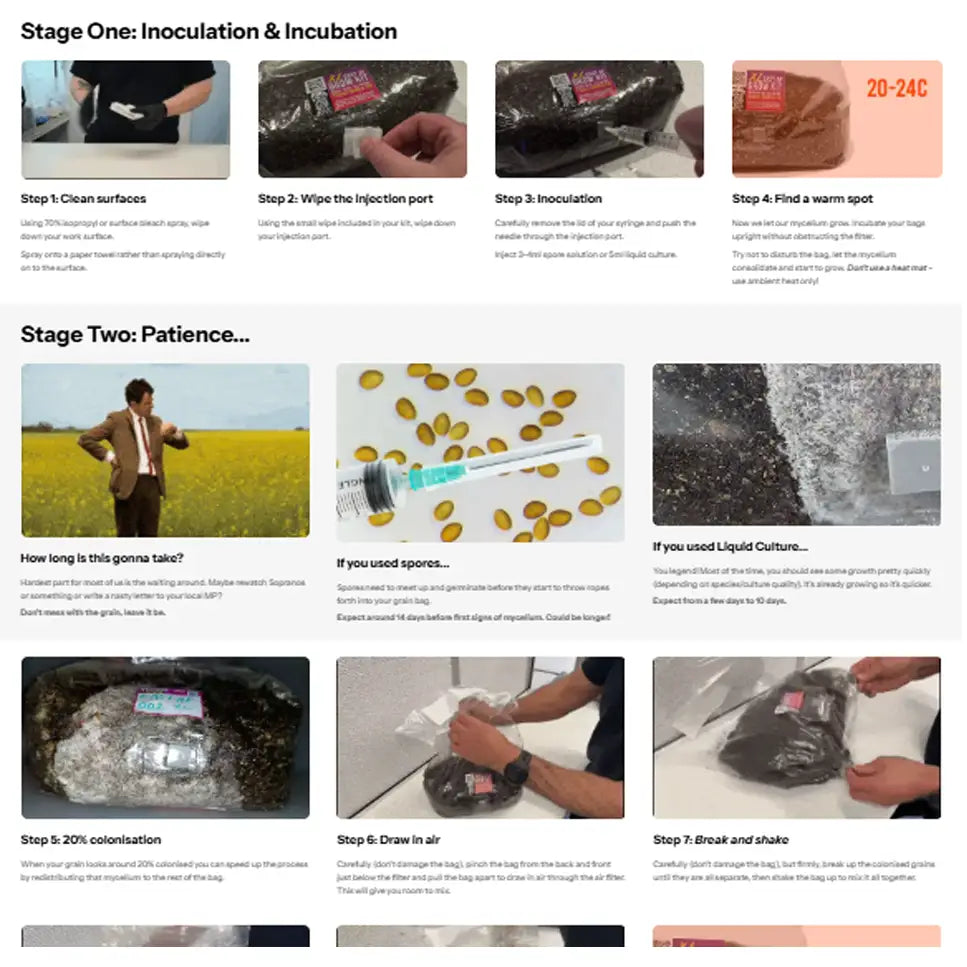 MycoPunks