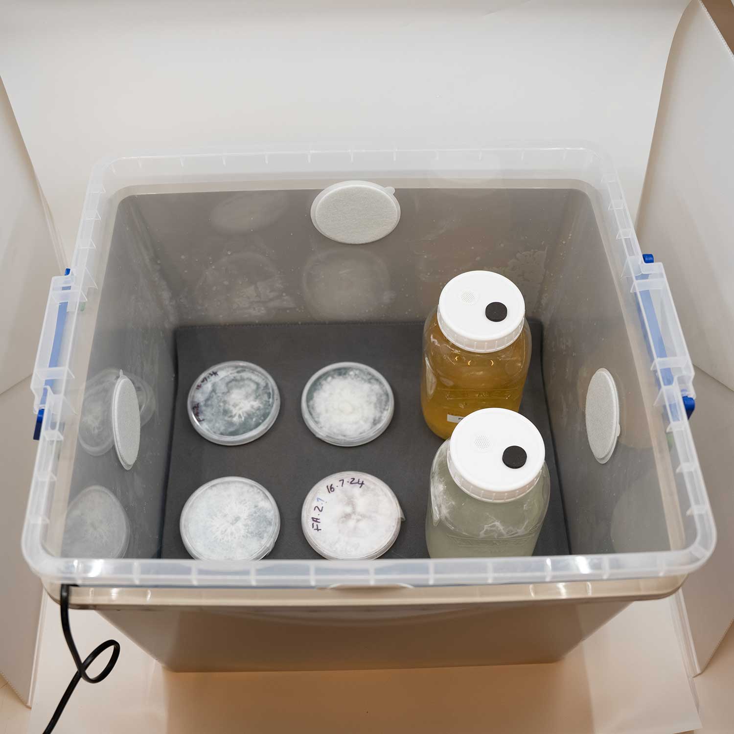 Incubators