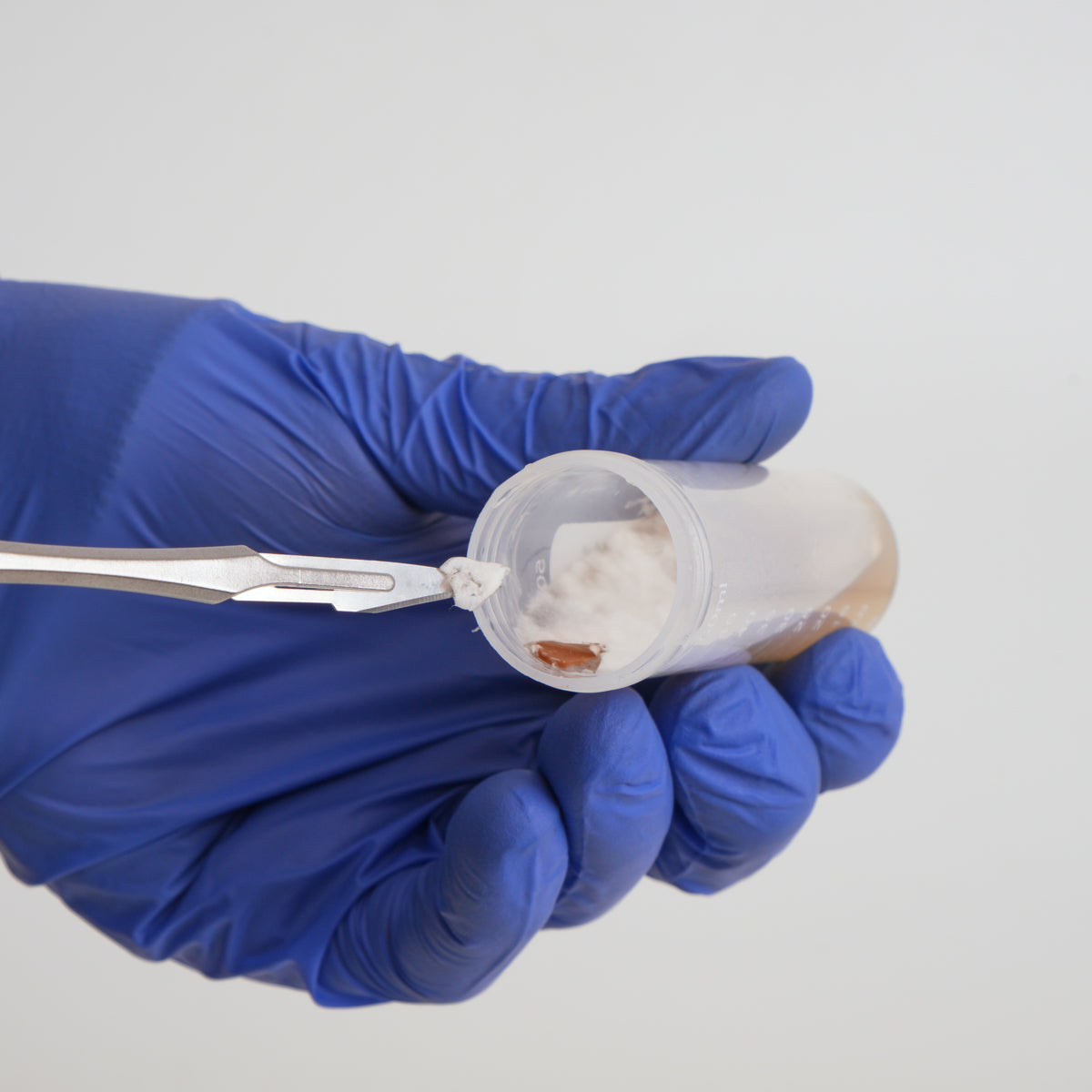 A gloved hand using a scalpel to remove growing mushroom mycelium from a MycoPunks PDYA agar slant, on a white background