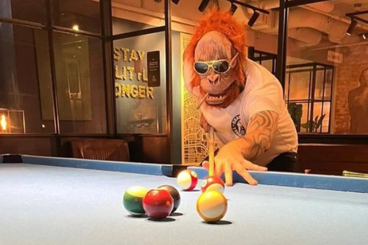 Orangutan Collection
