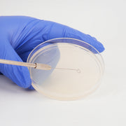Reusable Inoculating Loop with 25 Nichrome Needle Tip Inoculation Rings