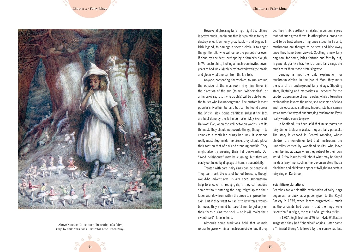 Kew - The Magic of Mushrooms : Fungi in folklore, superstition and traditional medicine