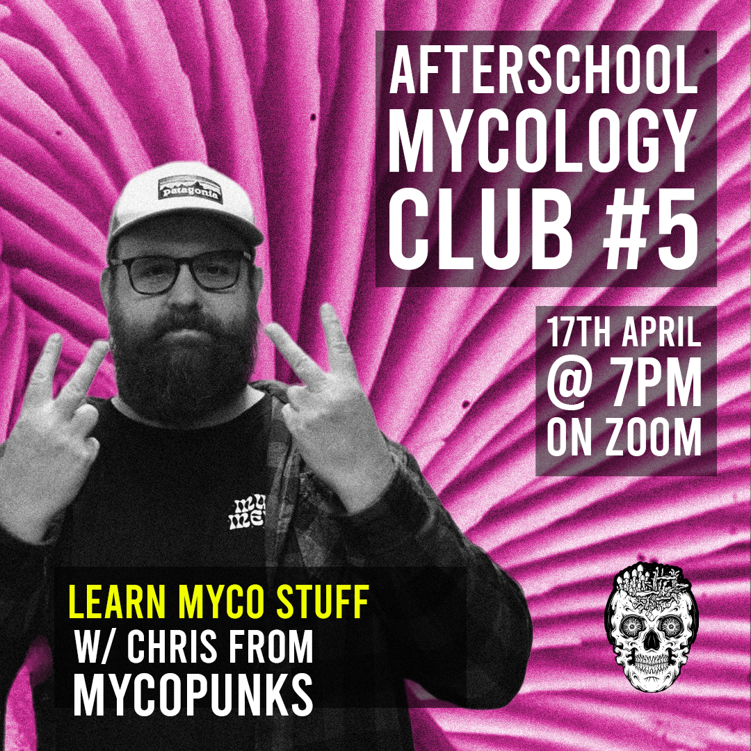 Afterschool Mycology Club #5 - W/ Chris @mycopunks (Digital Download)