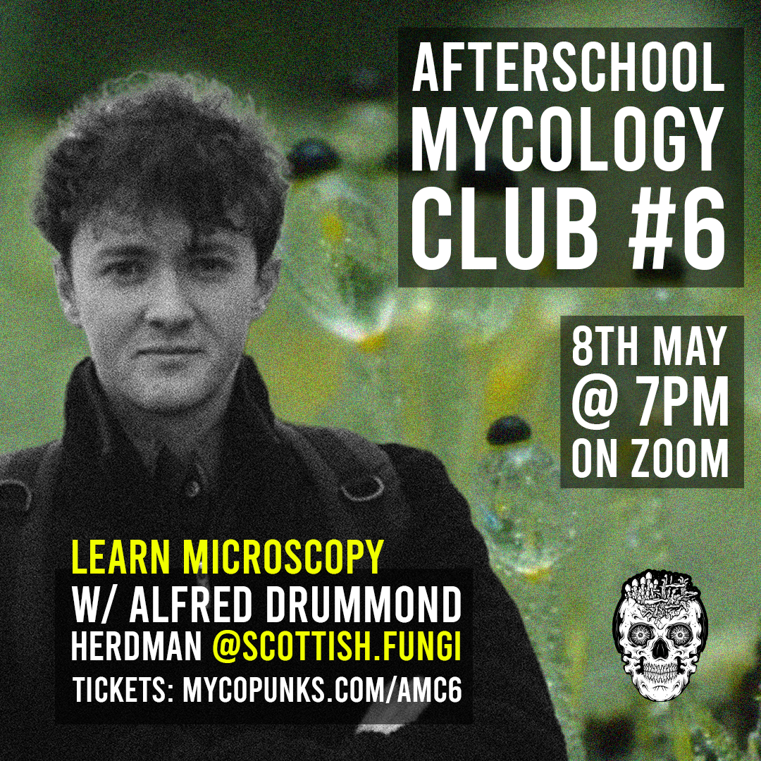 MycoPunks