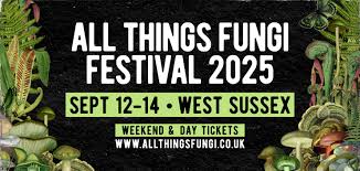 MycoPunks back as main sponsor of ATFF25