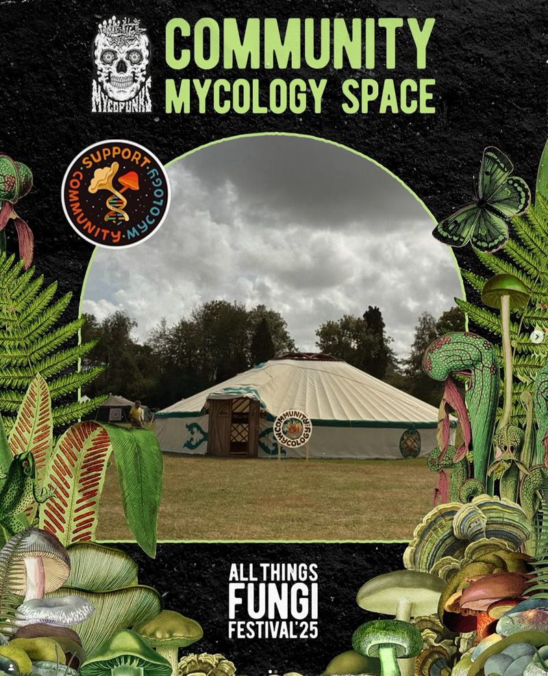 MycoPunks first Community Mycology Space at ATFF!