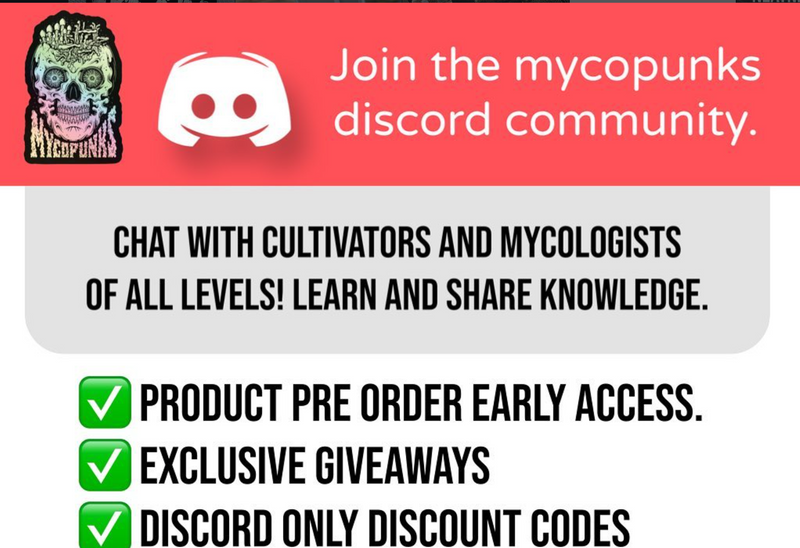 Our first Discord Community Launched - RIP