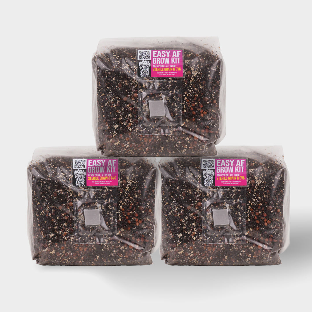 Easy AF Mushroom Grow Kit - 3 Pack (3 for 2 deal!)