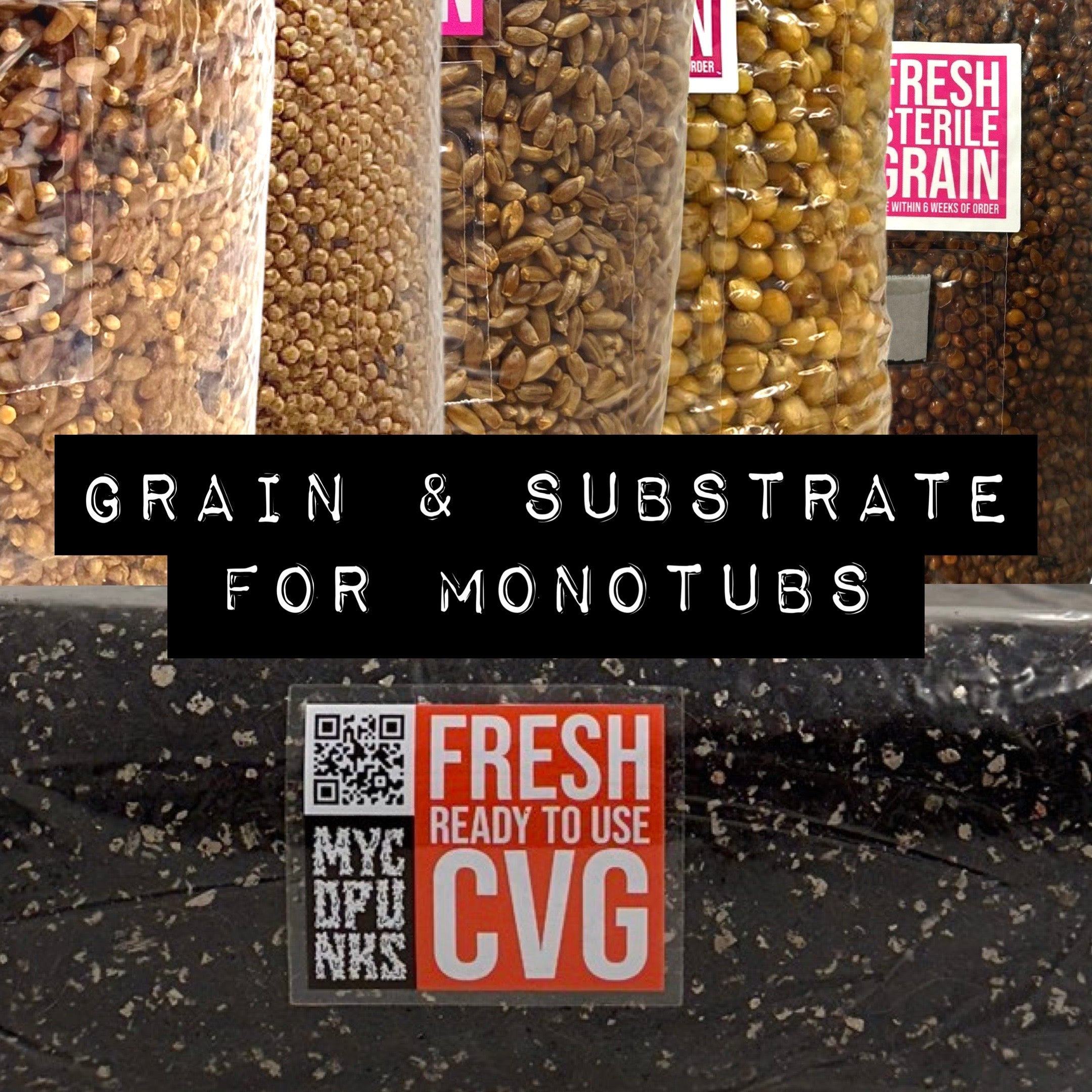 A picture of various sterile grains and substrates, with the caption "grain and substrate for monotubs"