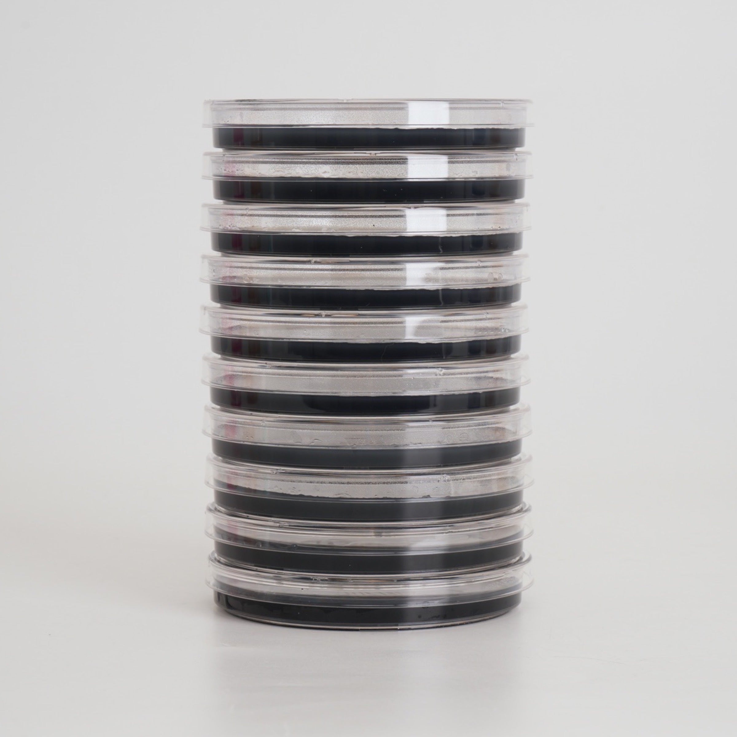 Potato Dextrose Yeast Agar (PDYA) Petri Dishes for Mushroom Mycelium Cultivation (10pk)