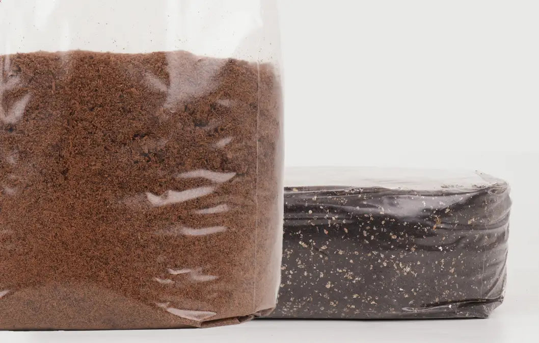 Pasteurised Substrate