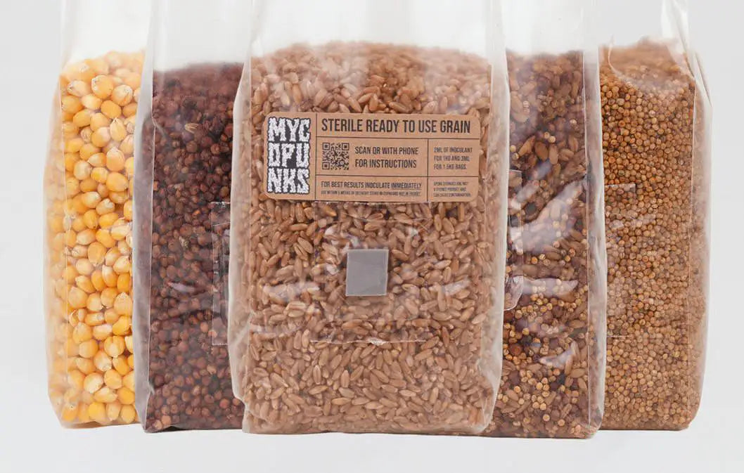 Sterile Grain