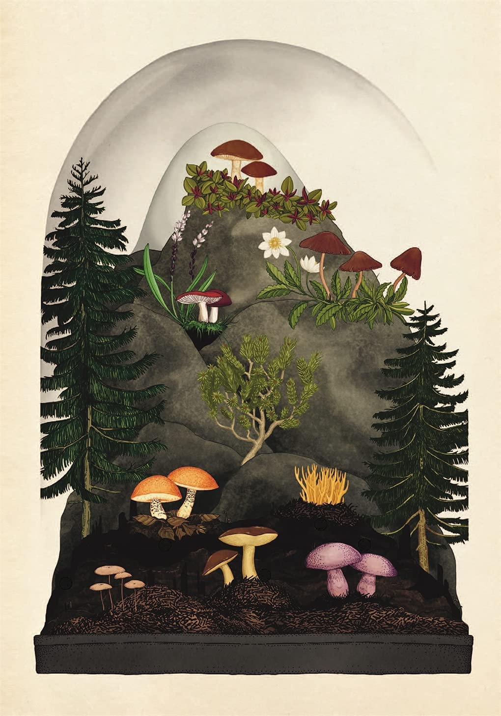 Fungarium postcards